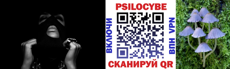Псилоцибиновые грибы мицелий  где купить наркоту  Славянск-на-Кубани 